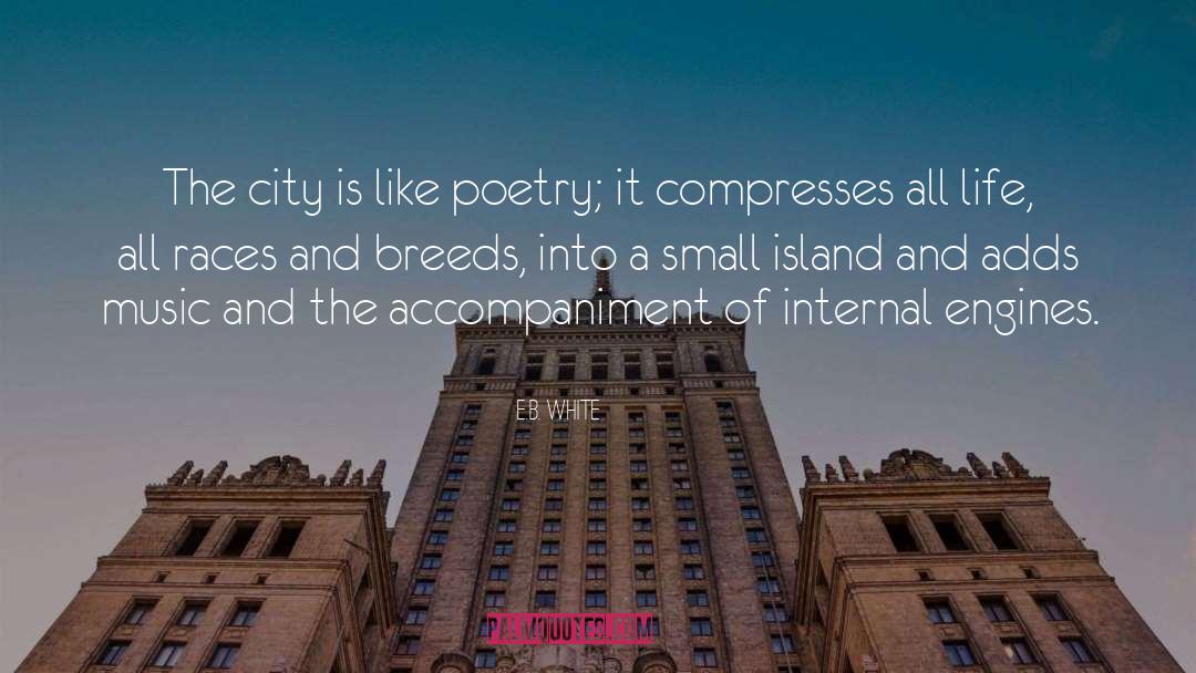 Island quotes by E.B. White