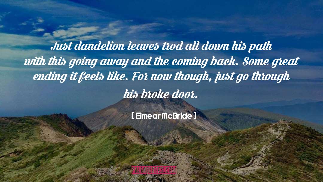 Isolated Path quotes by Eimear McBride