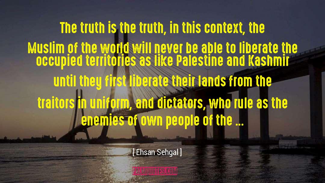 Israeli Occupied Territories quotes by Ehsan Sehgal