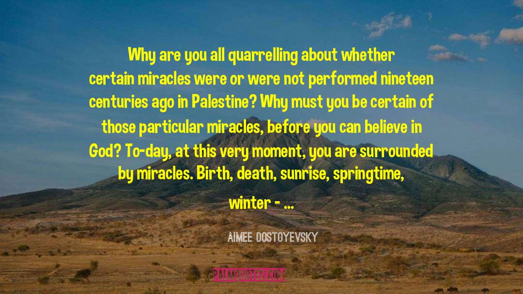 Israeli Palestine quotes by Aimee Dostoyevsky