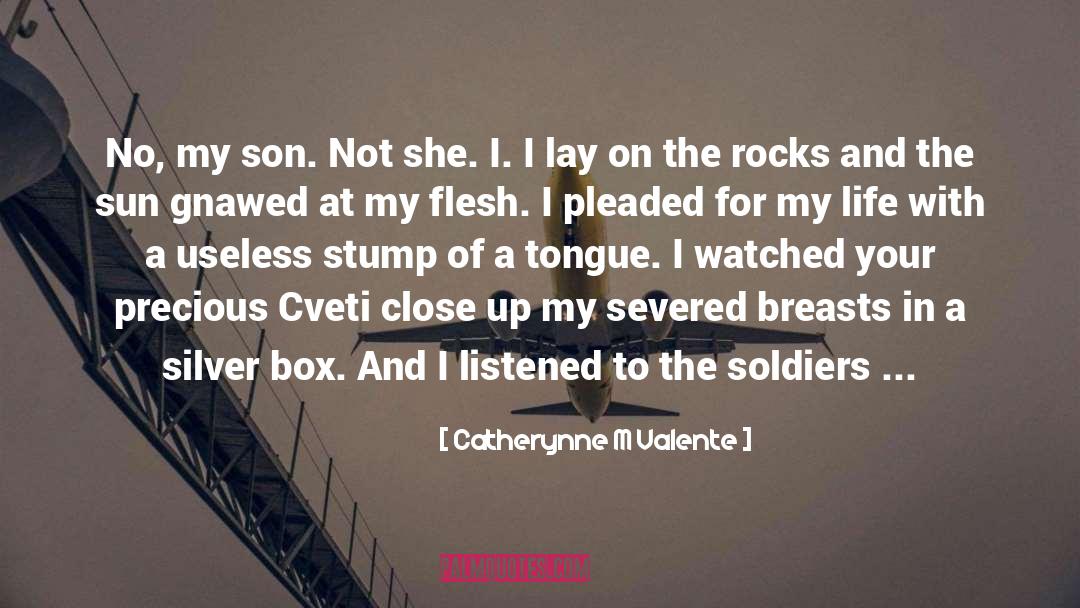 Israeli Soldiers quotes by Catherynne M Valente