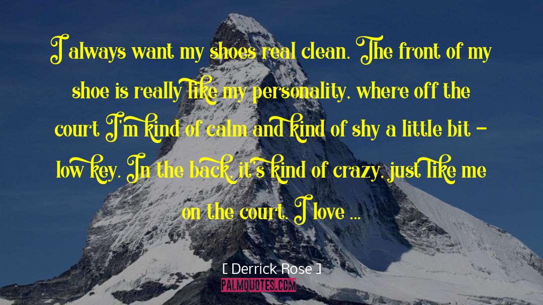 Issler Shoe quotes by Derrick Rose