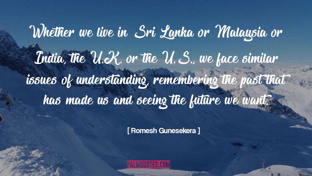 Issues quotes by Romesh Gunesekera