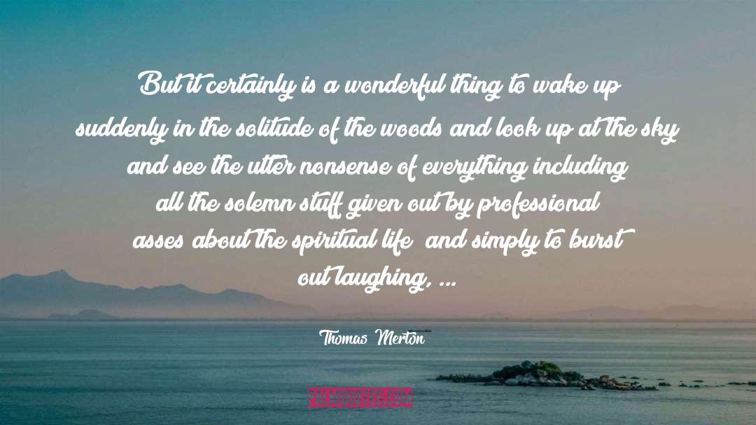 It 27s A Wonderful Life quotes by Thomas Merton