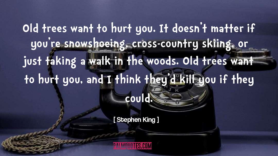 It Doesnt Hurt Me quotes by Stephen King