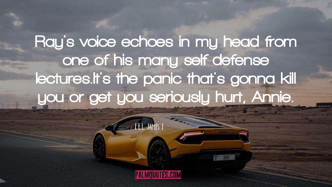 It Echoes quotes by E.L. James
