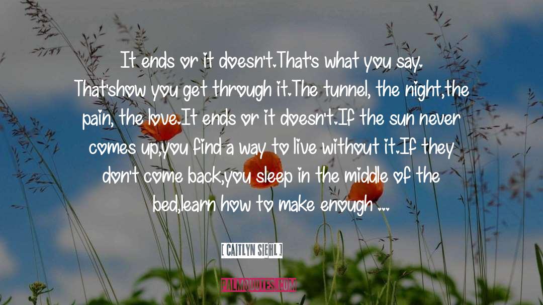 It Ends Or It Doesn T quotes by Caitlyn Siehl