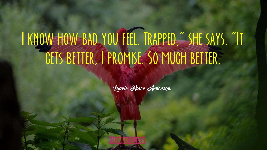 It Gets Better quotes by Laurie Halse Anderson