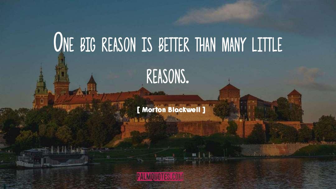 It Has To Get Better 13 Reasons Why quotes by Morton Blackwell