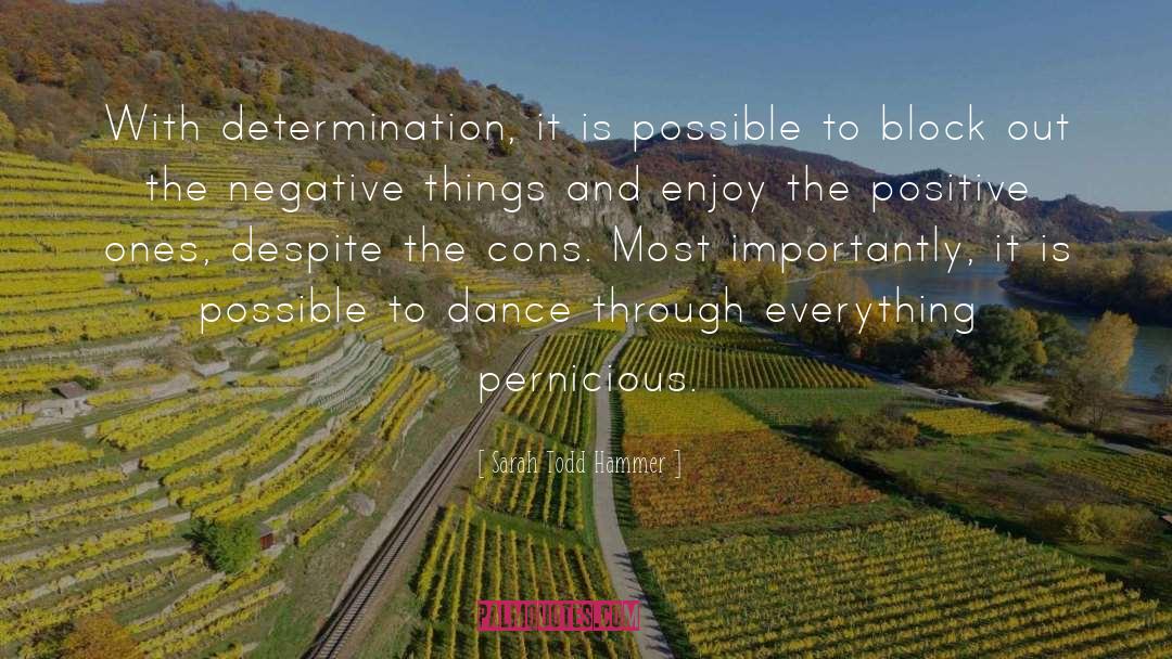 It Is Possible quotes by Sarah Todd Hammer