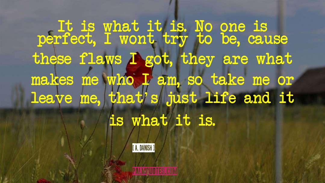 It Is What It Is quotes by A. Danish