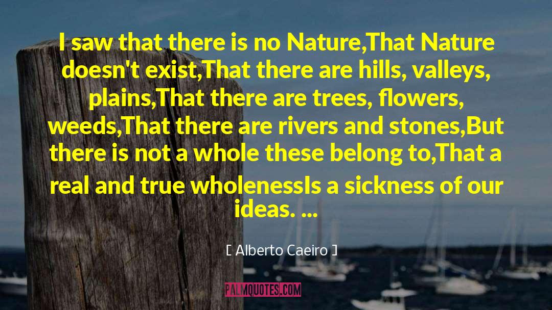 It Is What It Is quotes by Alberto Caeiro