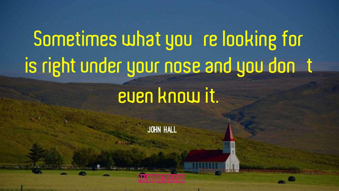 It Isn T Your Job quotes by John Hall
