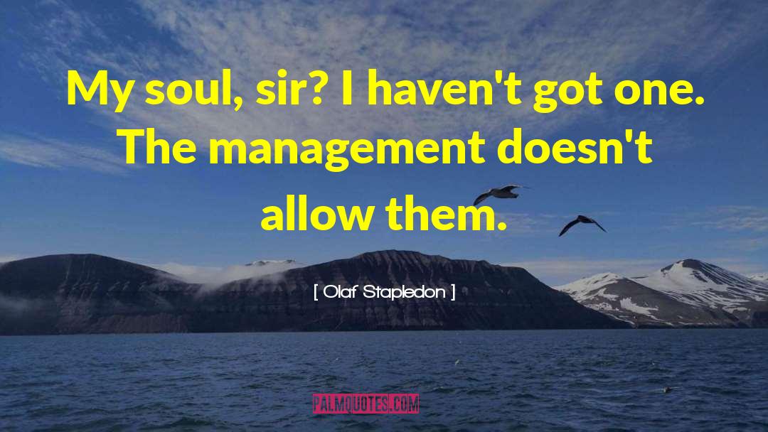 It Management quotes by Olaf Stapledon