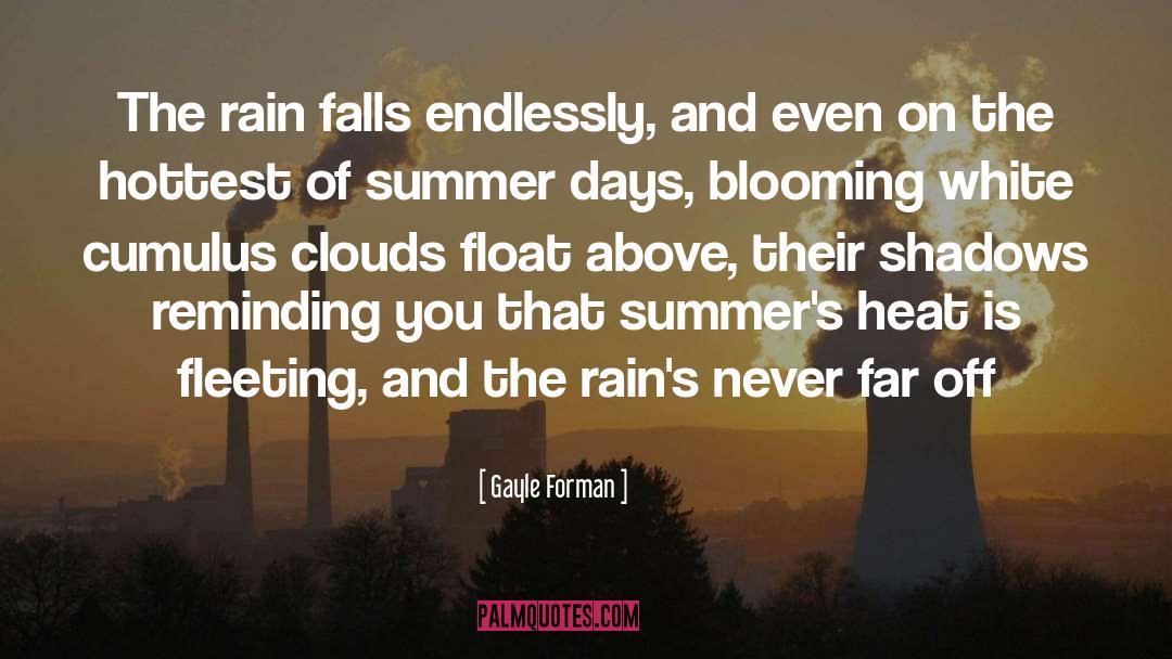 It Never Rains On National Day quotes by Gayle Forman