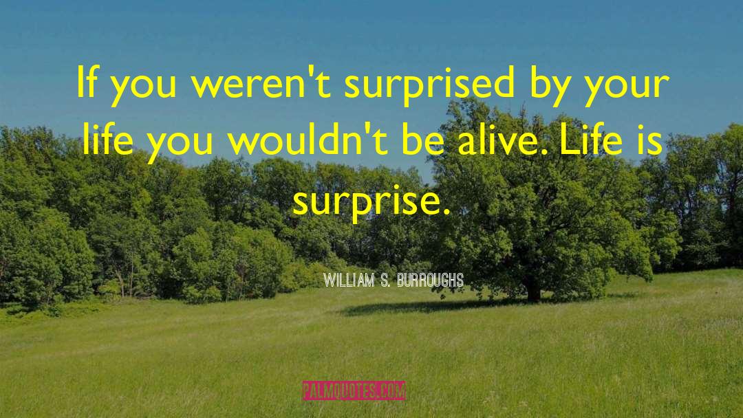 It S Your Life quotes by William S. Burroughs