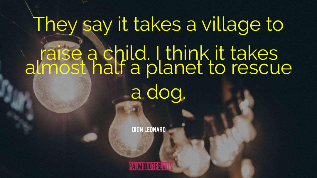 It Takes A Village quotes by Dion Leonard