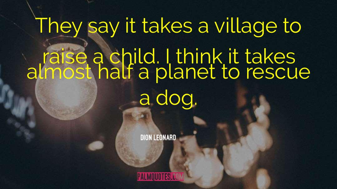It Takes A Village To Raise A Child quotes by Dion Leonard
