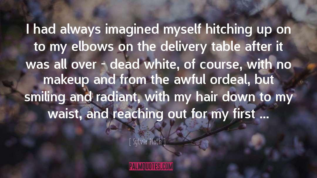 It Was All Over quotes by Sylvia Plath