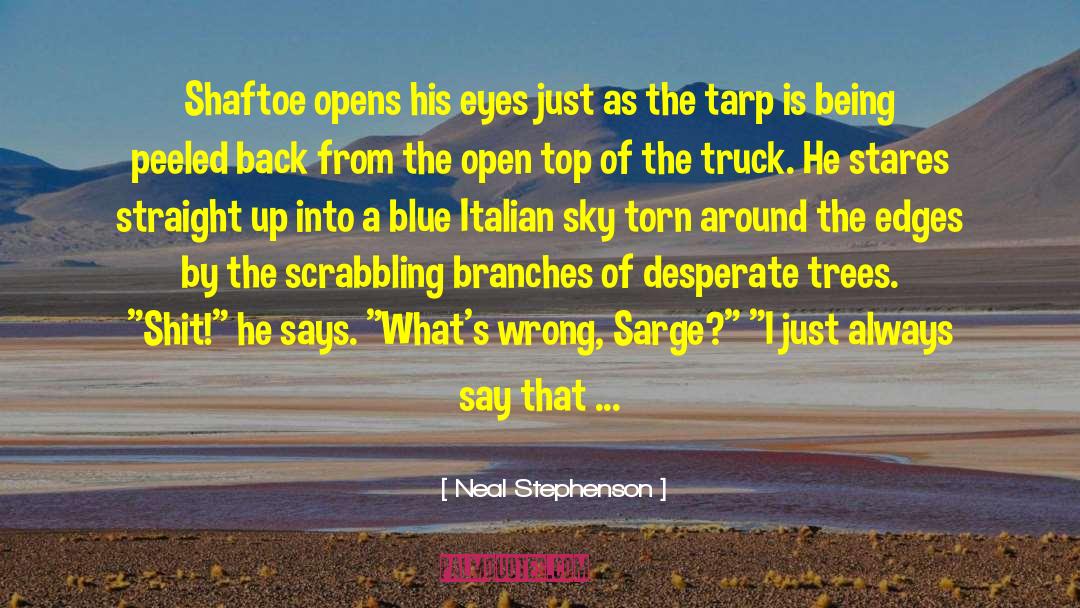 Italian Cooking quotes by Neal Stephenson