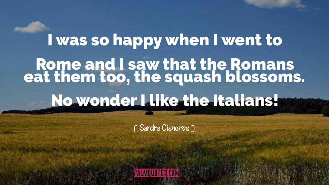 Italians quotes by Sandra Cisneros