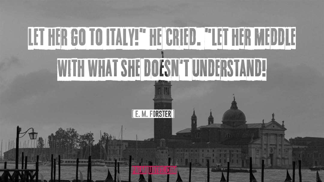 Italy Veneziano quotes by E. M. Forster