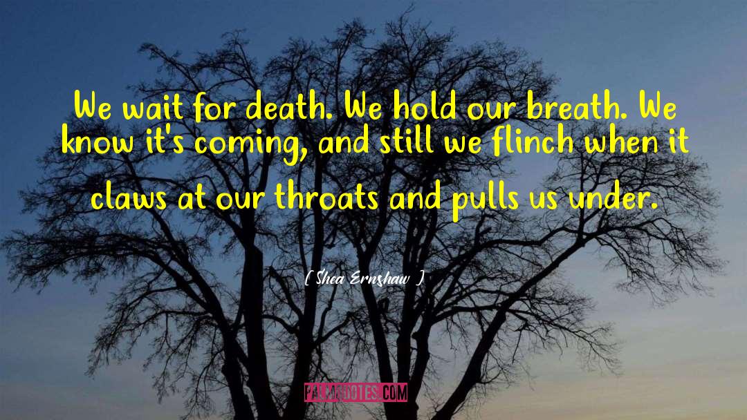 Its Coming quotes by Shea Ernshaw