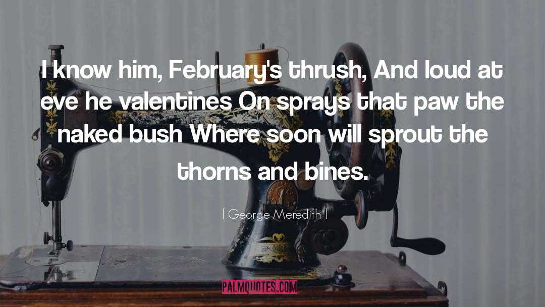 Its February Already quotes by George Meredith