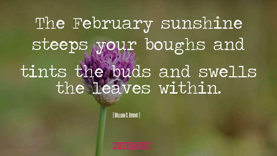 Its February Already quotes by William C. Bryant