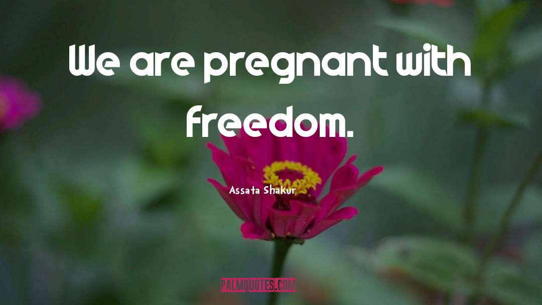 Its Not Easy Being Pregnant quotes by Assata Shakur