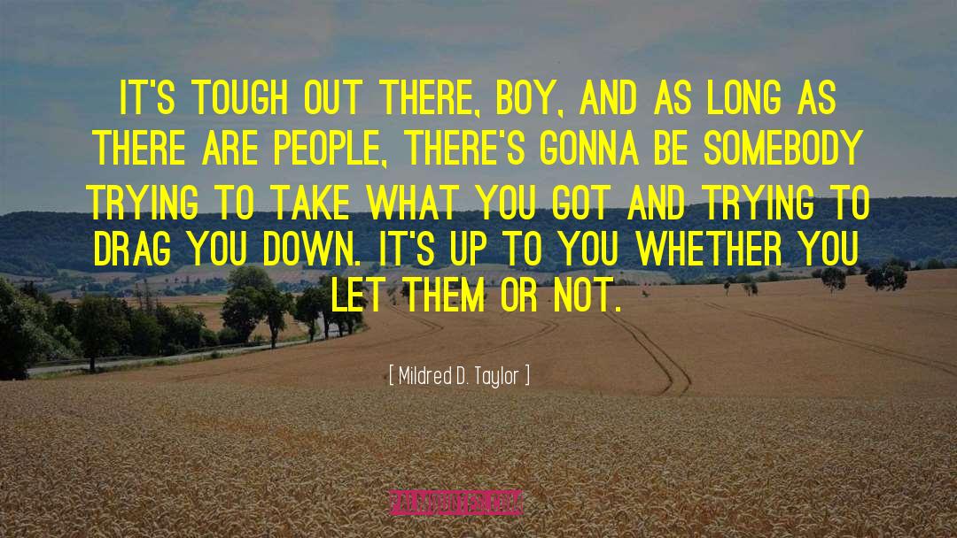 Its Not Whether You Win Or Lose quotes by Mildred D. Taylor