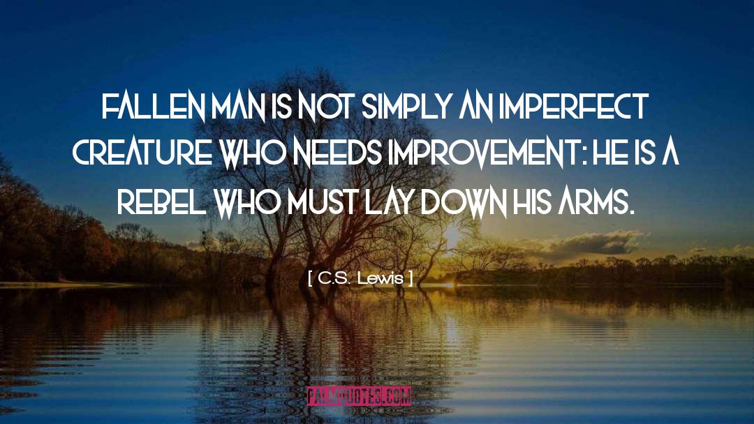 Its Okay To Be Imperfect quotes by C.S. Lewis
