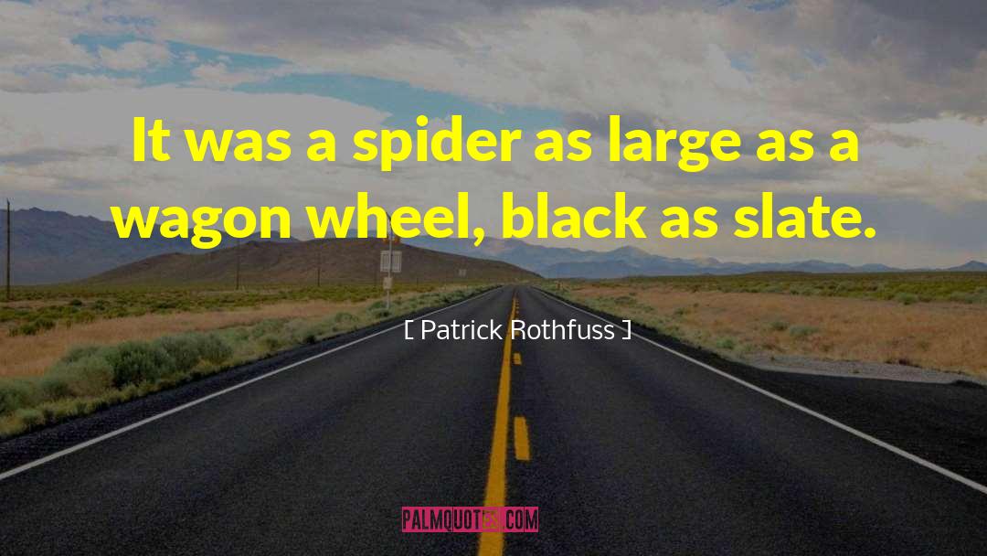 Itsy Bitsy Spider quotes by Patrick Rothfuss