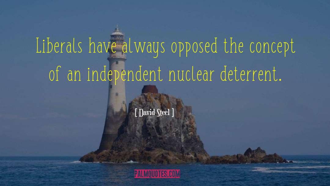Ive Always Been Independent quotes by David Steel