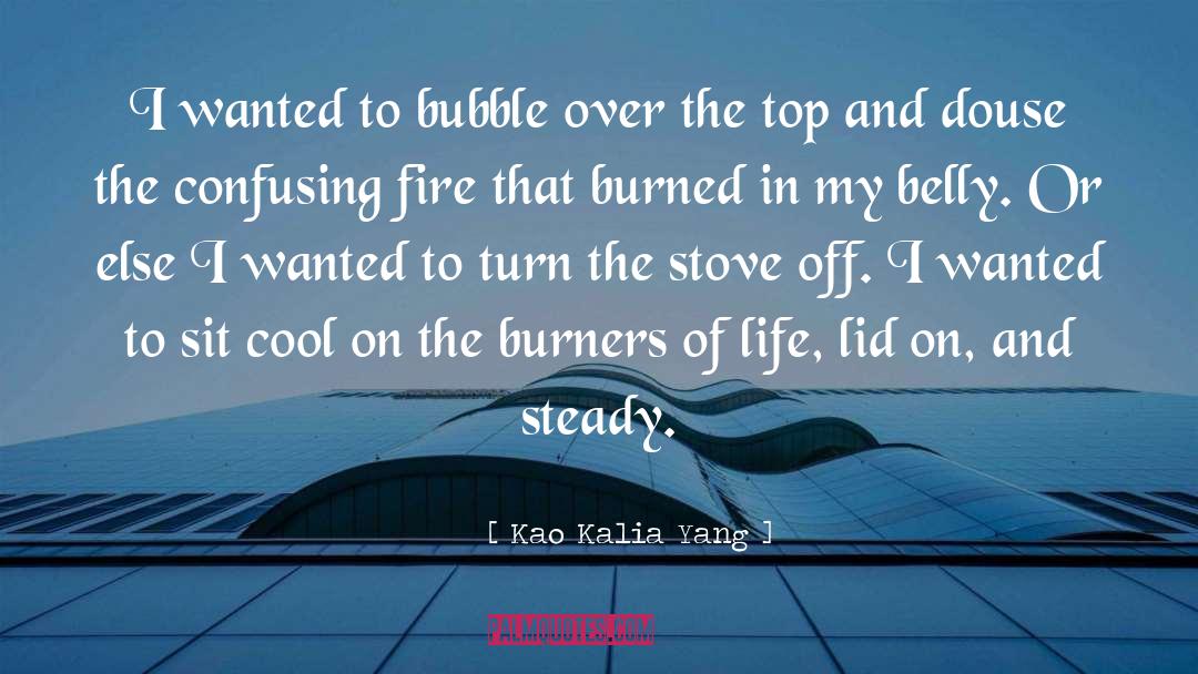 Iwatani Stove quotes by Kao Kalia Yang