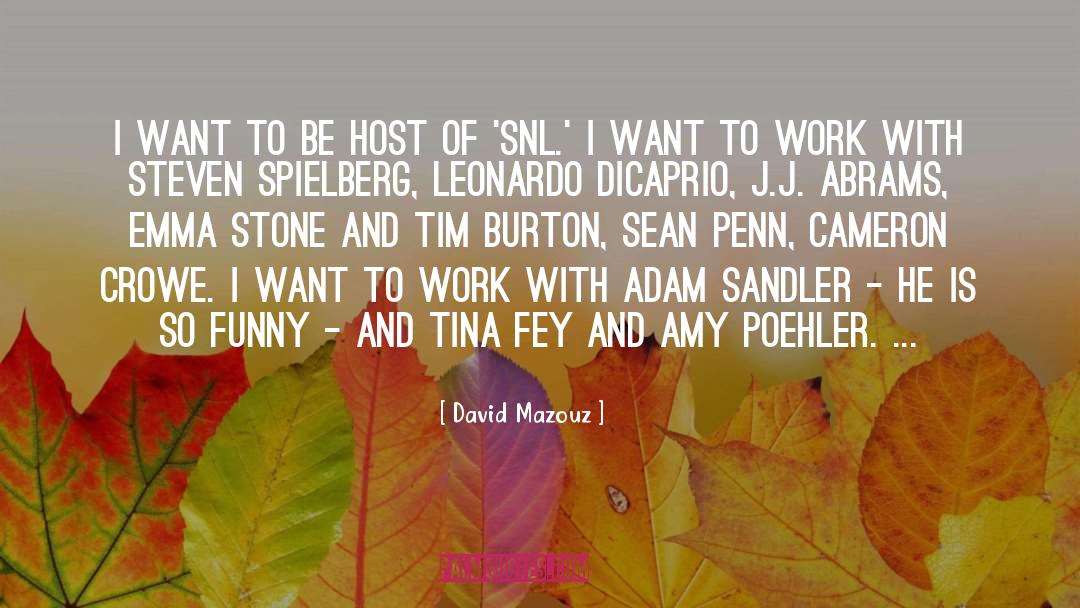 J Adam Sndyer quotes by David Mazouz