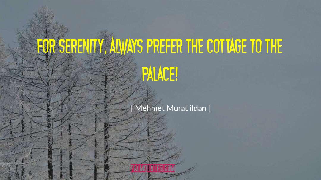 Jablonowski Palace quotes by Mehmet Murat Ildan