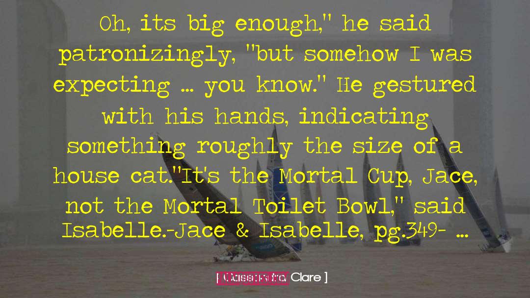 Jace Morgenstern quotes by Cassandra Clare