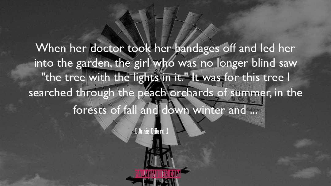 Jacin And Winter quotes by Annie Dillard