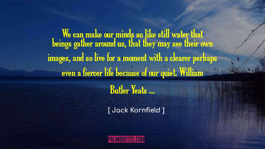 Jack Johnson quotes by Jack Kornfield