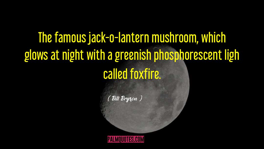 Jack O Lantern quotes by Bill Bryson