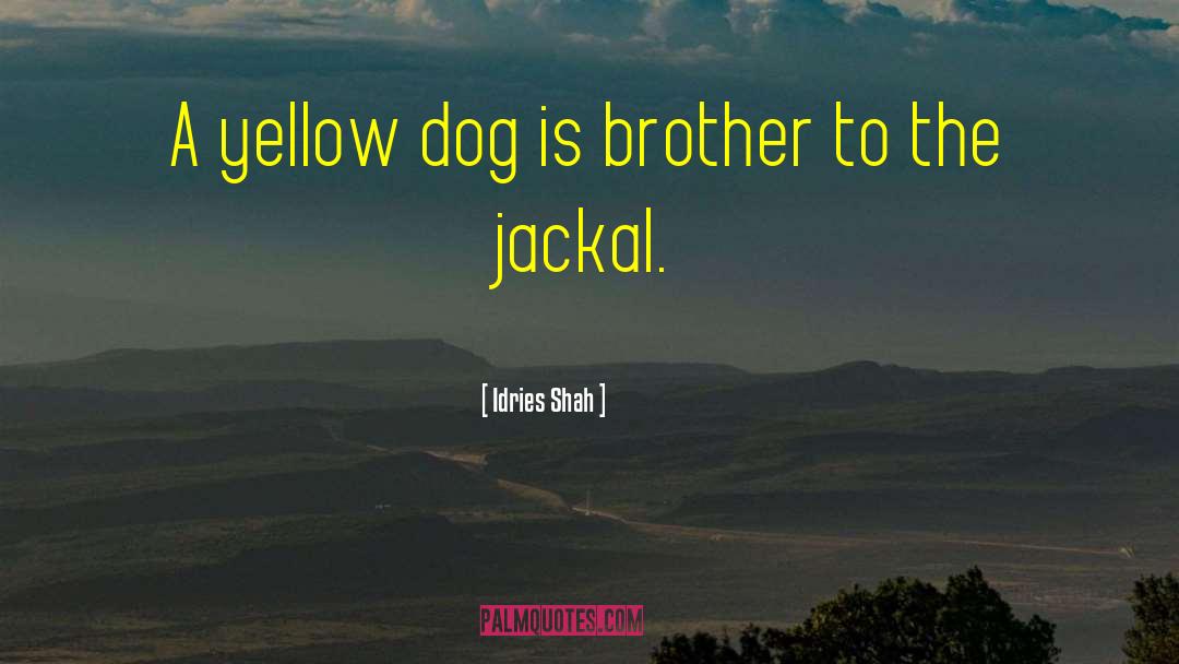 Jackal quotes by Idries Shah