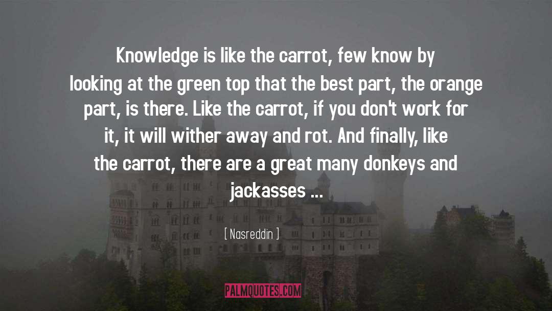 Jackasses quotes by Nasreddin