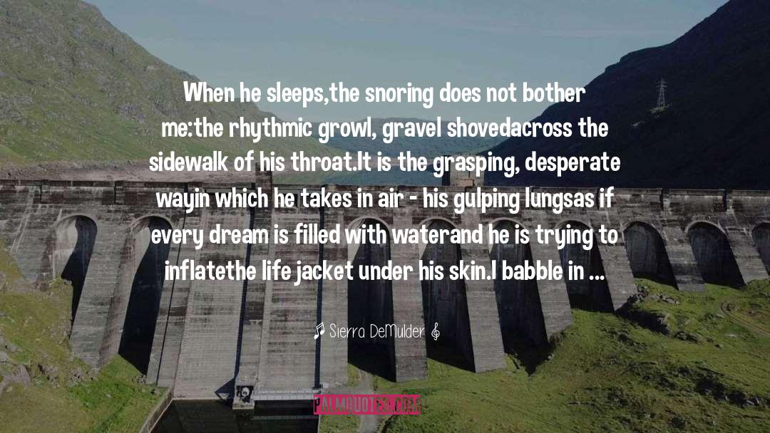 Jacket quotes by Sierra DeMulder