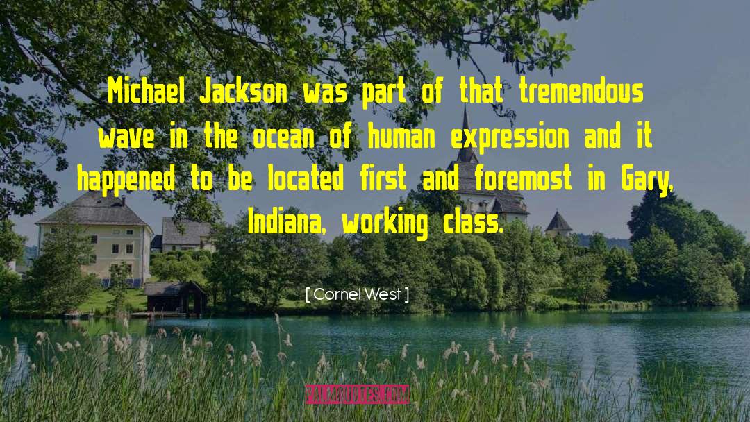 Jackson Hole quotes by Cornel West