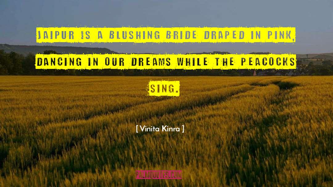 Jaipur quotes by Vinita Kinra