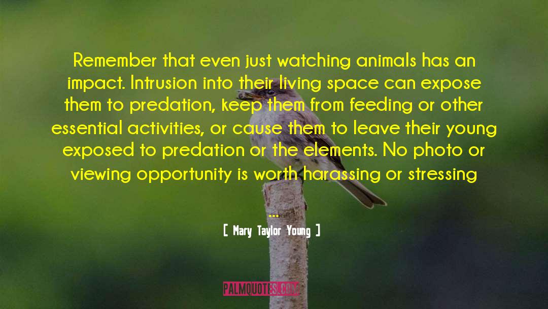 Jakani Wildlife quotes by Mary Taylor Young