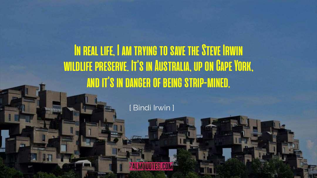 Jakani Wildlife quotes by Bindi Irwin