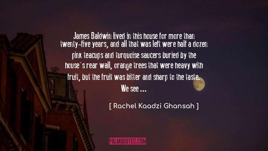 James Baldwin quotes by Rachel Kaadzi Ghansah
