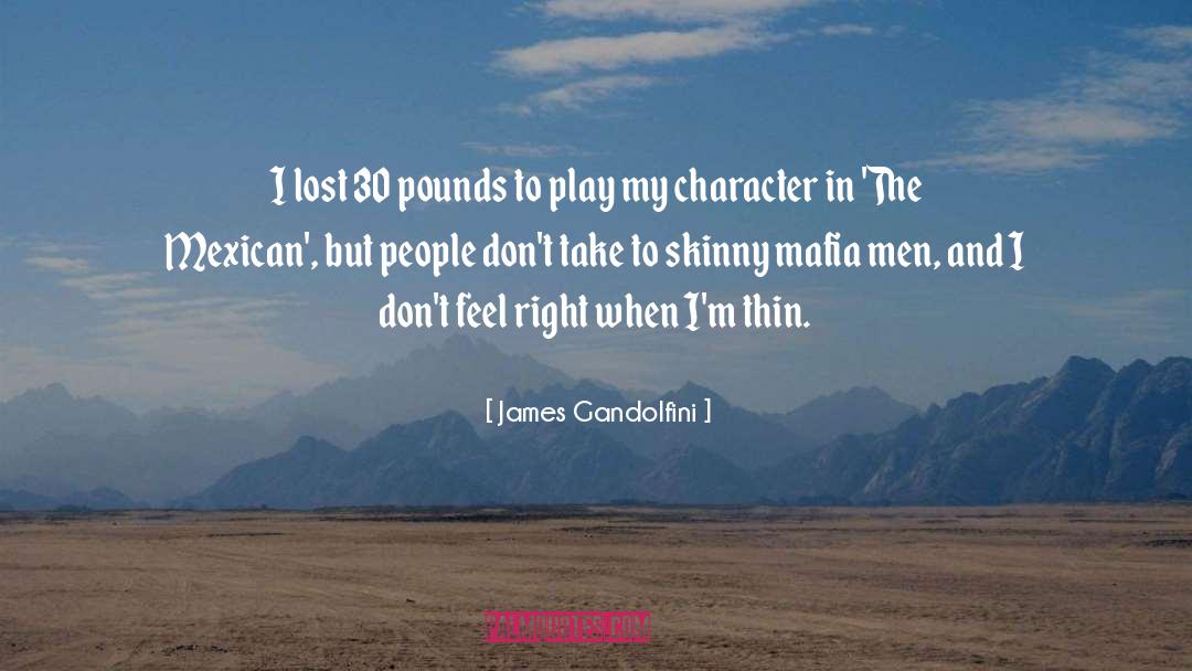 James Cooper quotes by James Gandolfini